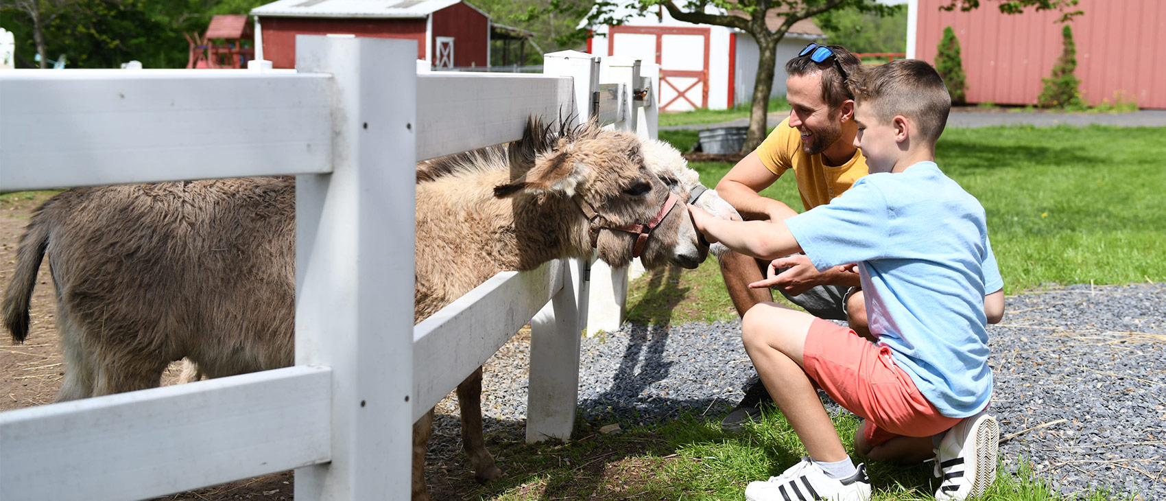 Dad & Son Petting Horses at Land of Little Horses Animal Theme Park