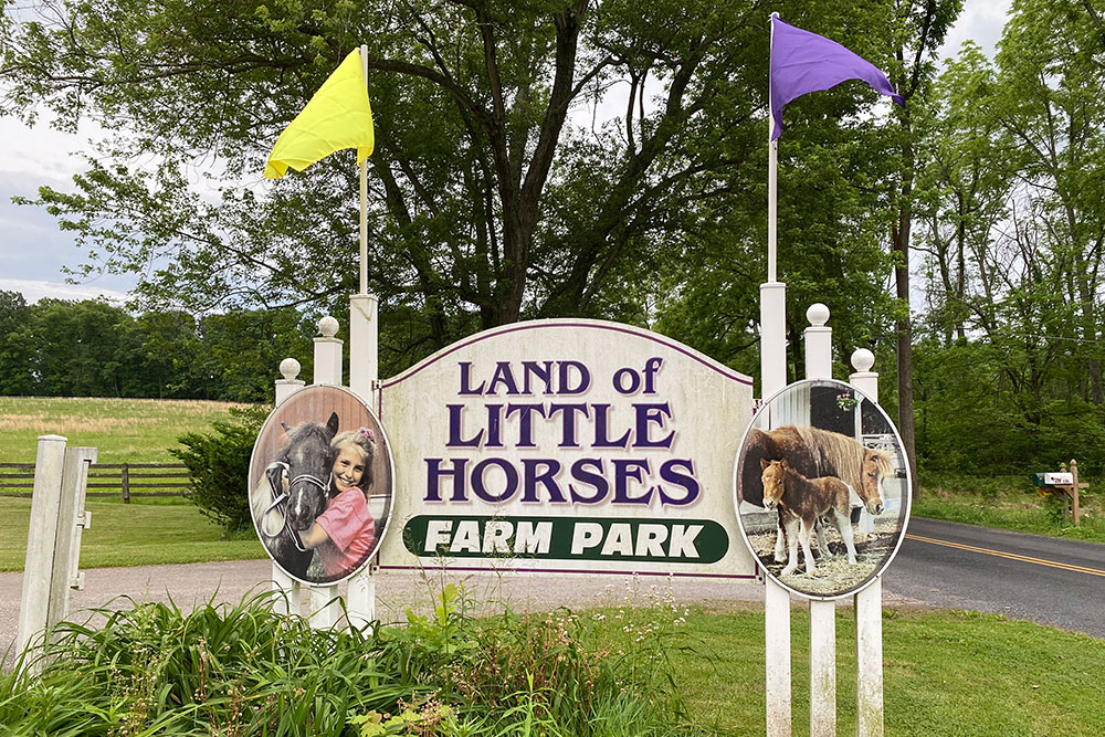 Land of Little Horses Animal Theme Park Sign