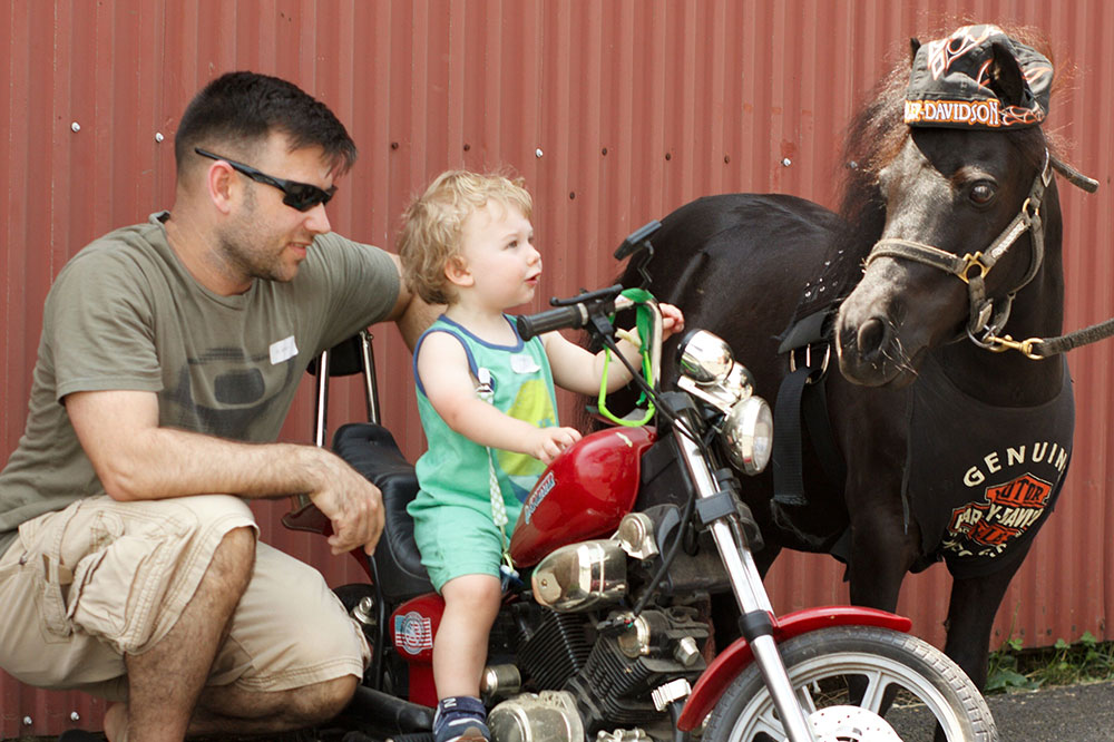 Child on Mini Harley Davidson at Land of Little Horses Animal Theme Park