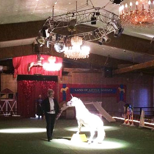 Mane Event Performance at Land of Little Horses Animal Theme Park