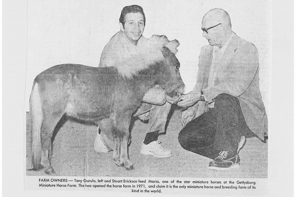 First Owners of Land of Little Horses Animal Theme Park