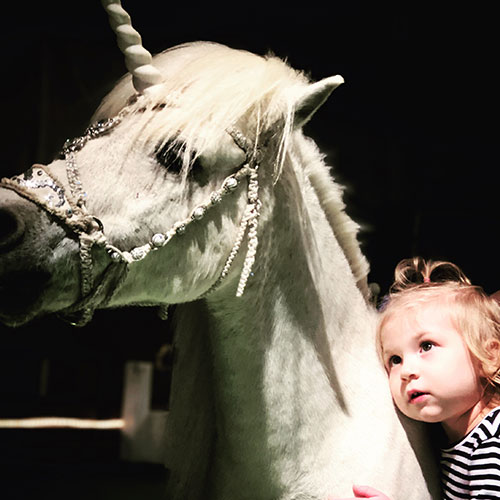 Young Girl Photo with Unicorn at Land of Little Horses Animal Theme Park